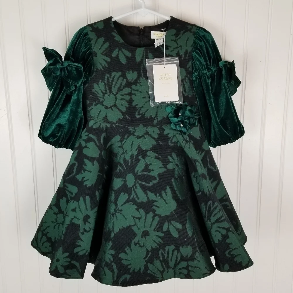 David Charles Girls 2 YRS Green Brocade Dress Jacquard Special Occasion Holiday